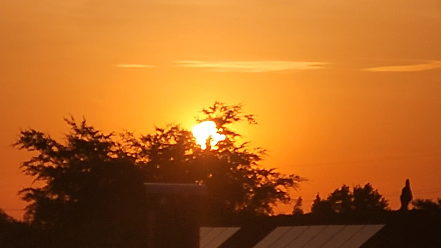 Junior Suite Dachterrasse